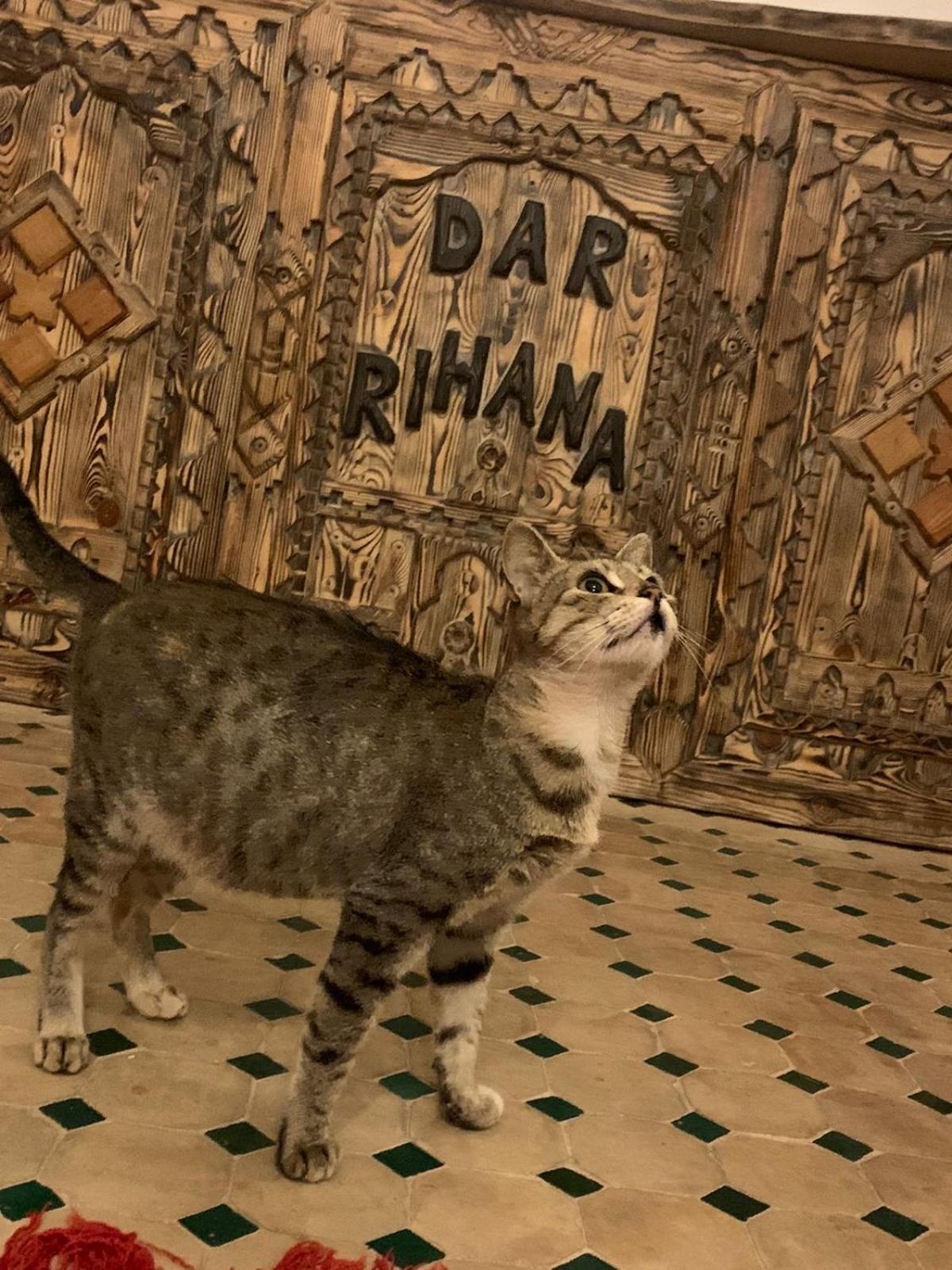 Dar Rihana Dades Ait Idair Exterior foto
